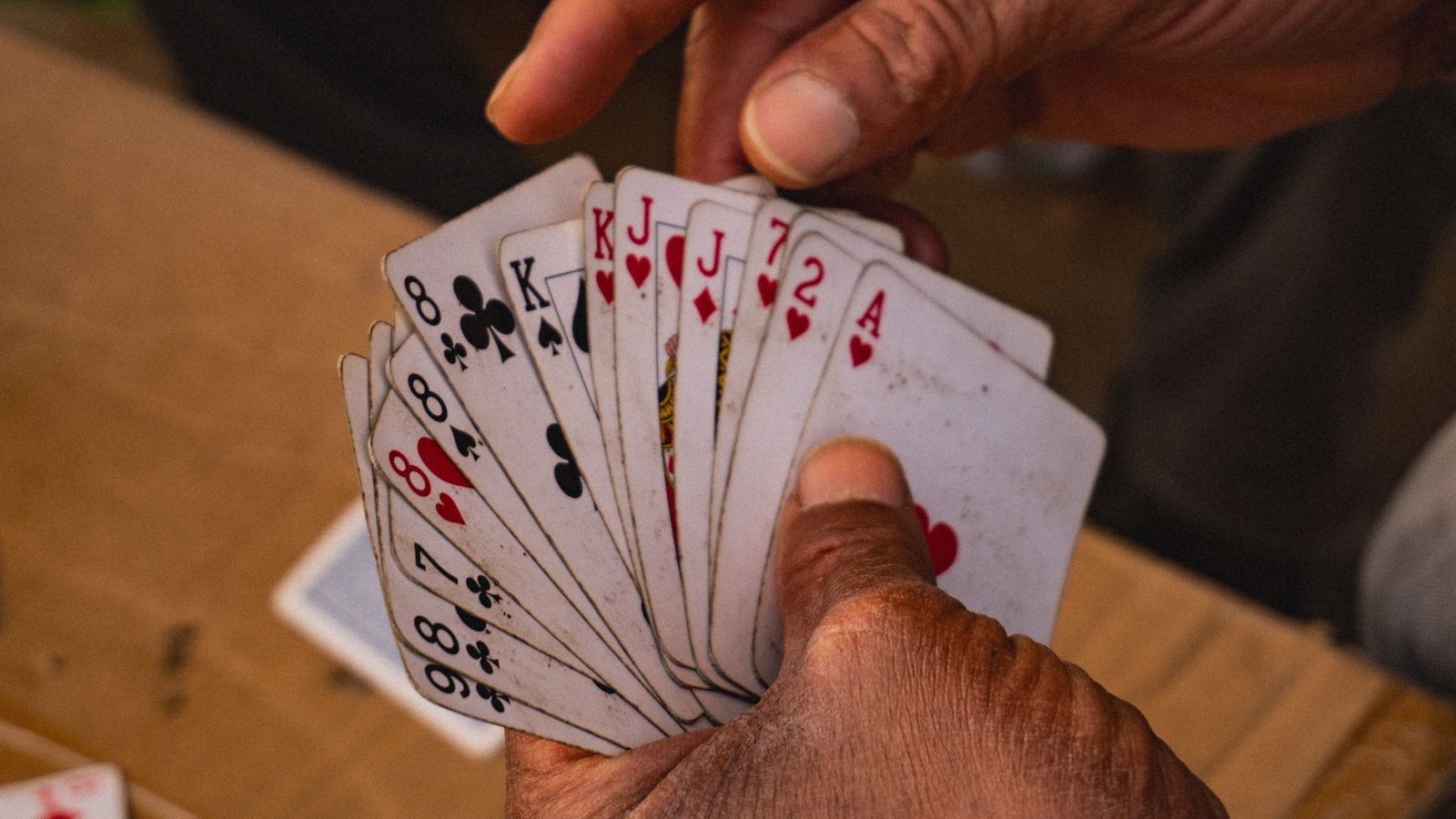 Close-up of an older player's hands holding a fan of playing cards at a bridge tournament table